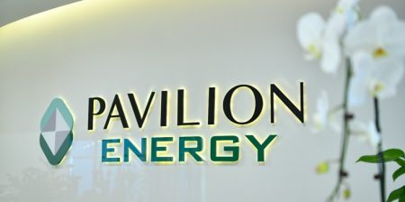 pavilion energy logo