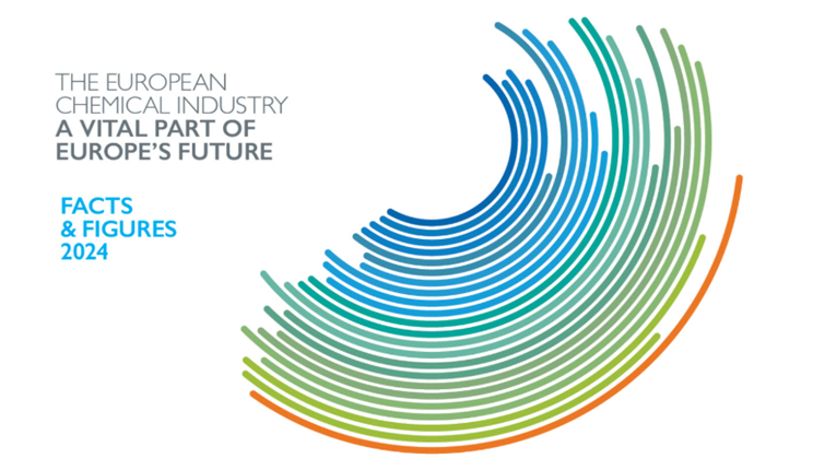 CEFIC REPORT 2024